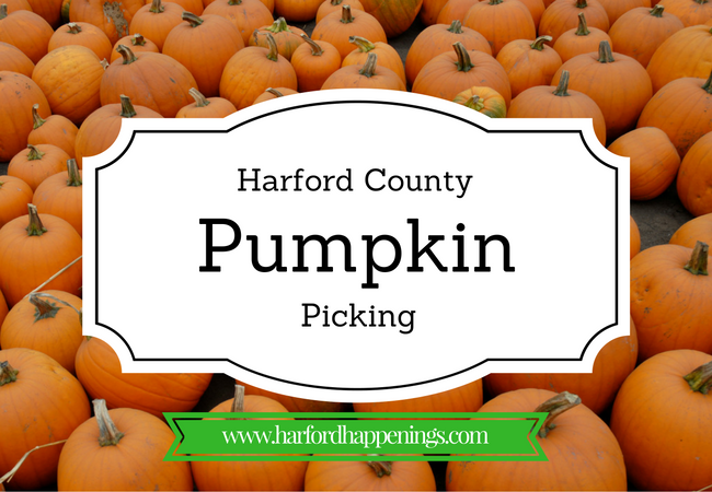 Best Places to Pick Pumpkins in Harford County